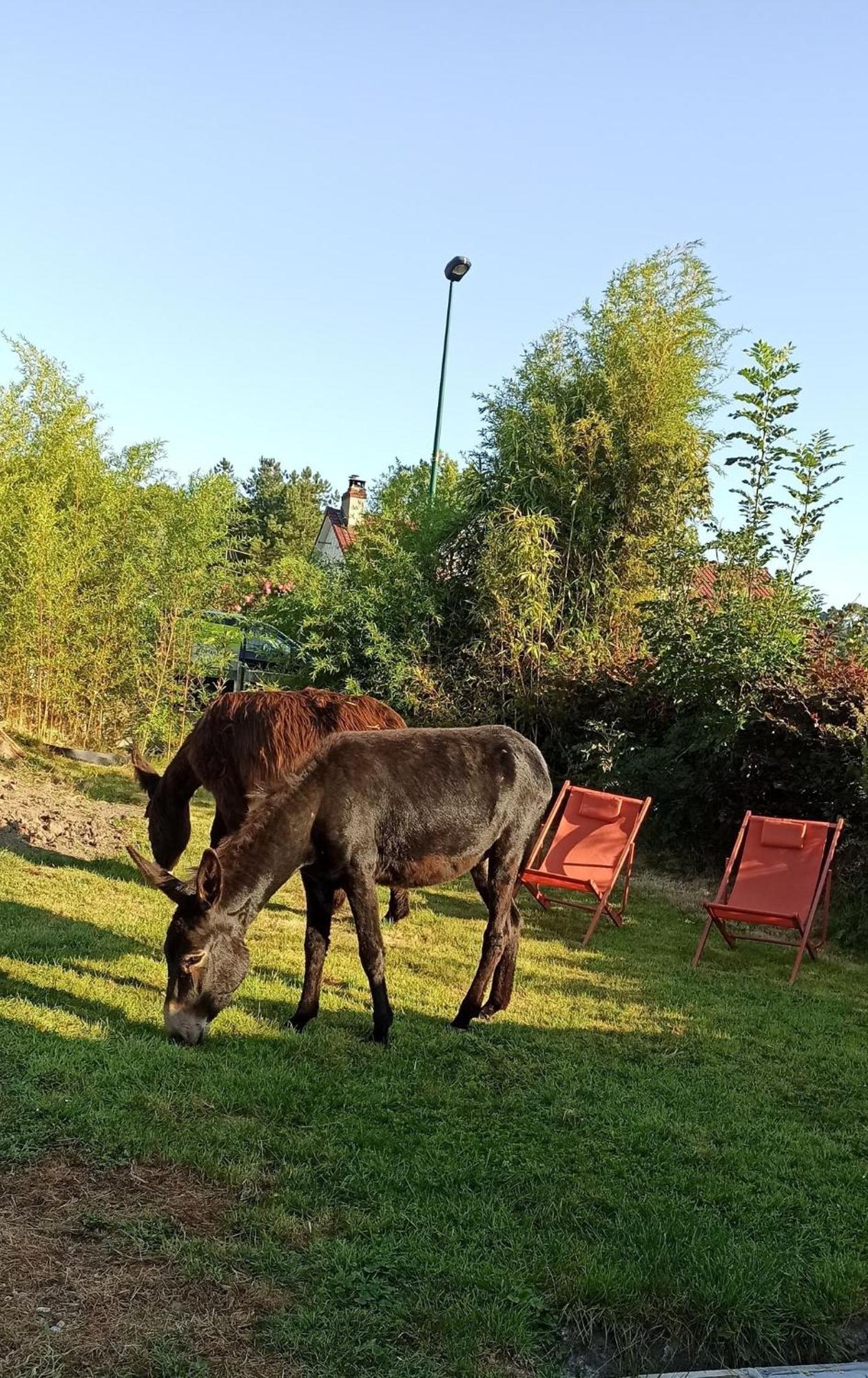 Les Anes Du Chateau D Hardelot, Pour 2 A 5 Pers Condette Exterior foto